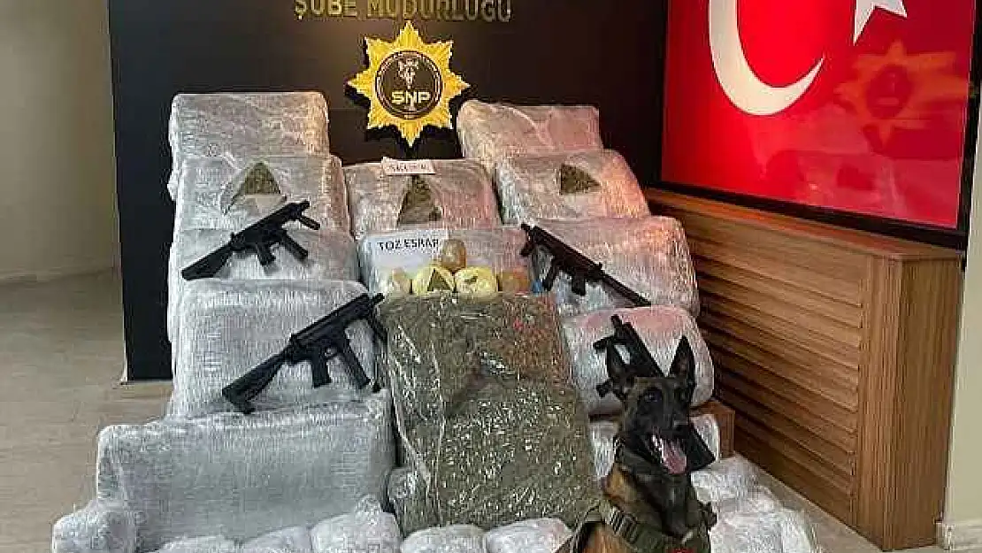 Şanlıurfa'da 170 kilo 700 gram skunk ele geçirildi