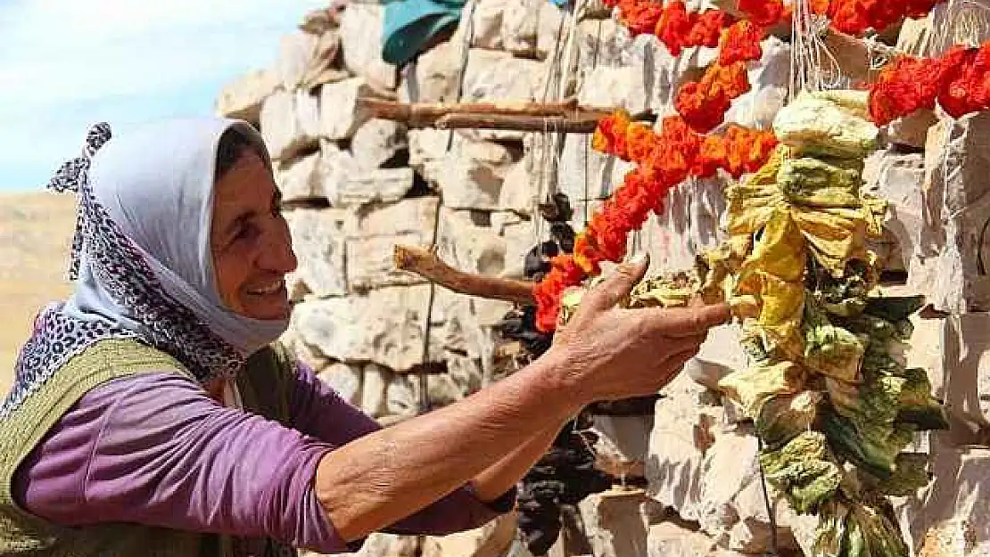 Kurutmalıklar Kışa Hazır