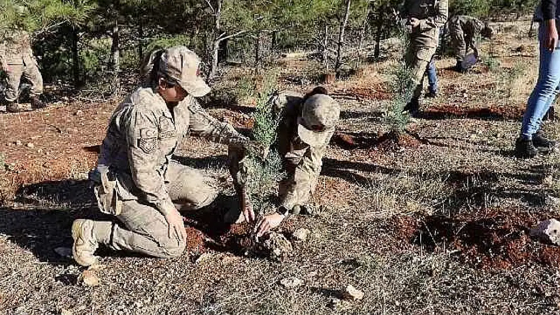 Jandarma 100. yıla özel 100 fidan dikti