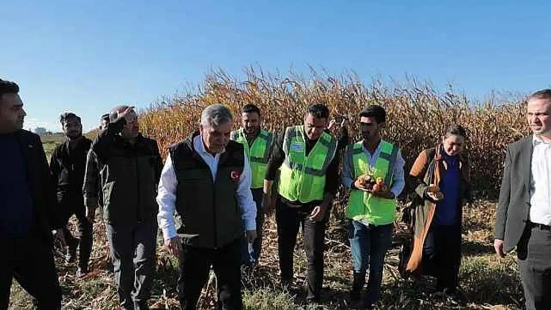 Atık su gübresi yüksek rekolte getirdi