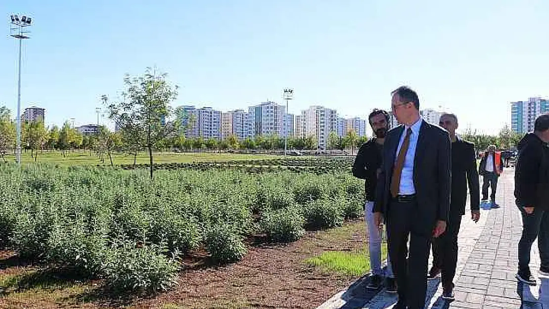 Tıbbi Aromatik Bitki Bahçesi şehre güzel koku yayacak