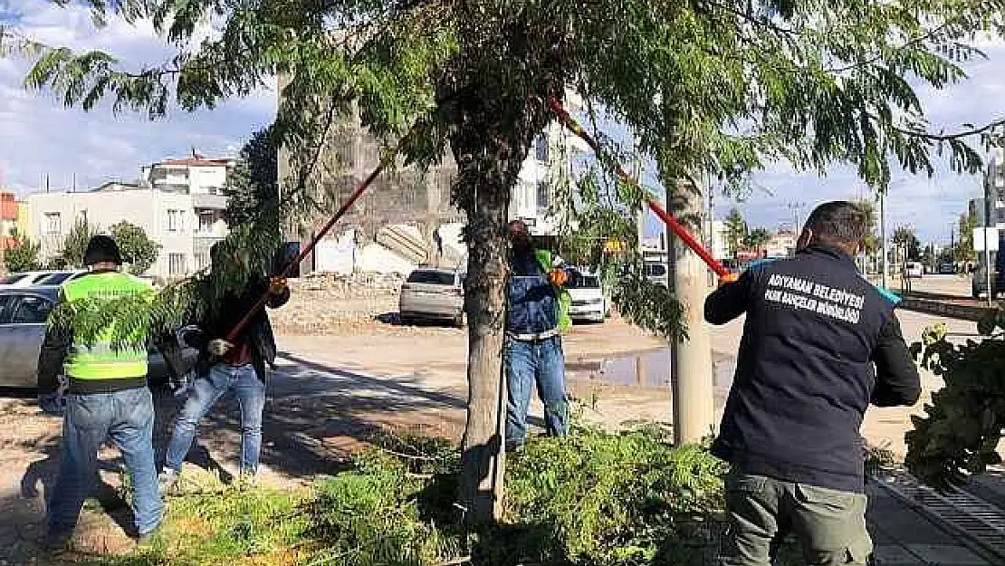 Adıyaman Belediyesi budama çalışmalarına devam ediyor