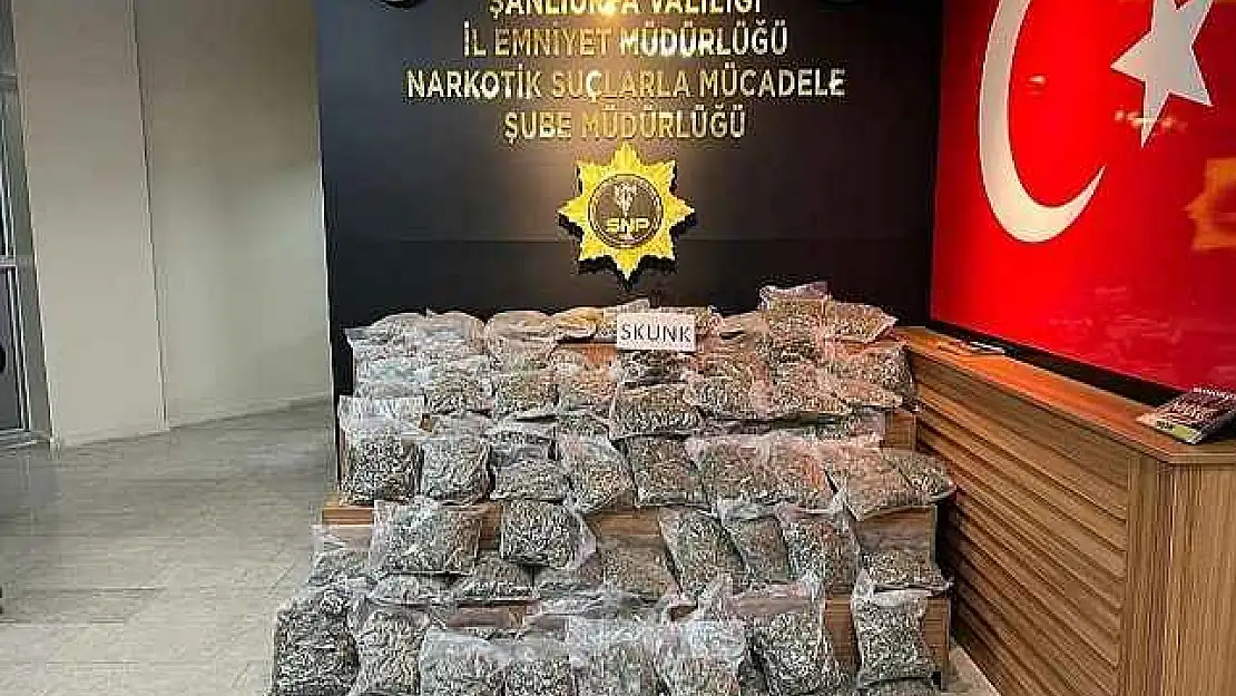 Şanlıurfa'da 46 kilo 500 gram skunk ele geçirildi