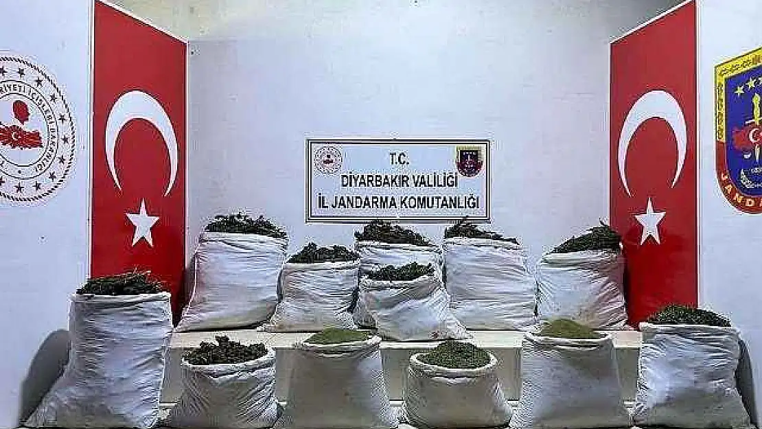 312 kilo esrar ve bin 706 kök kenevir ele geçirildi