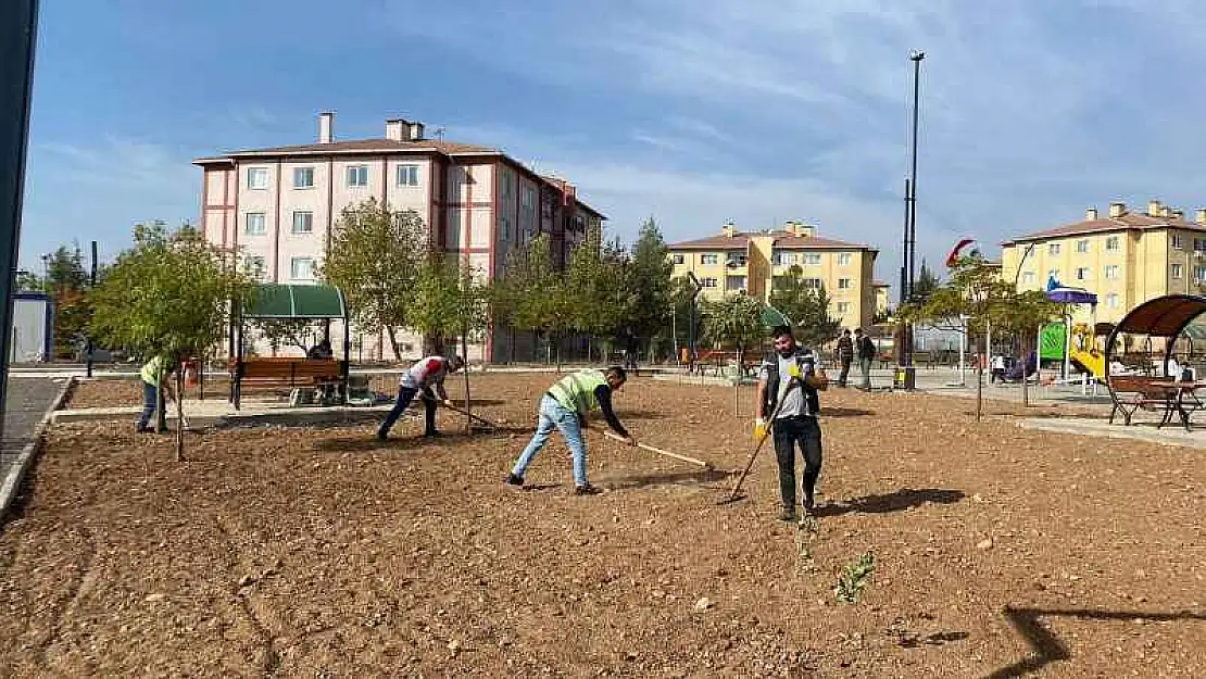 Kahta Belediyesi Ağaç Budama Çalışmalarına Başladı