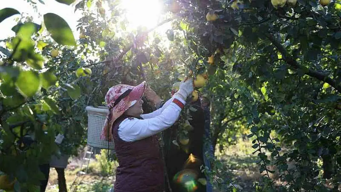 Rusya'nın ayvası Kahramanmaraş'tan