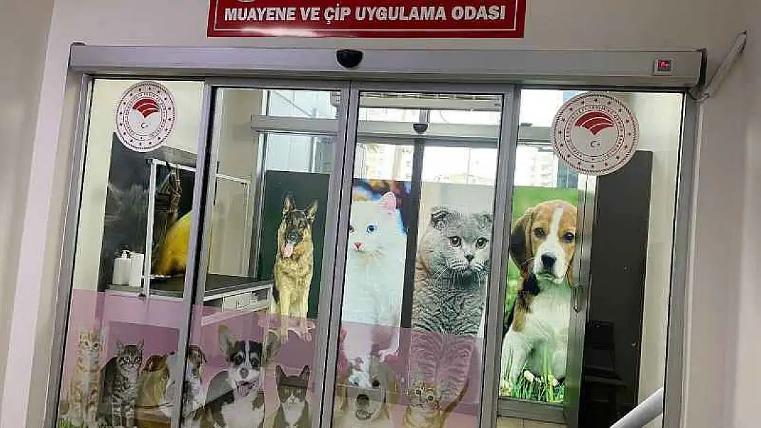 Evcil hayvanlar için aşı ve çip uygulama odası açıldı