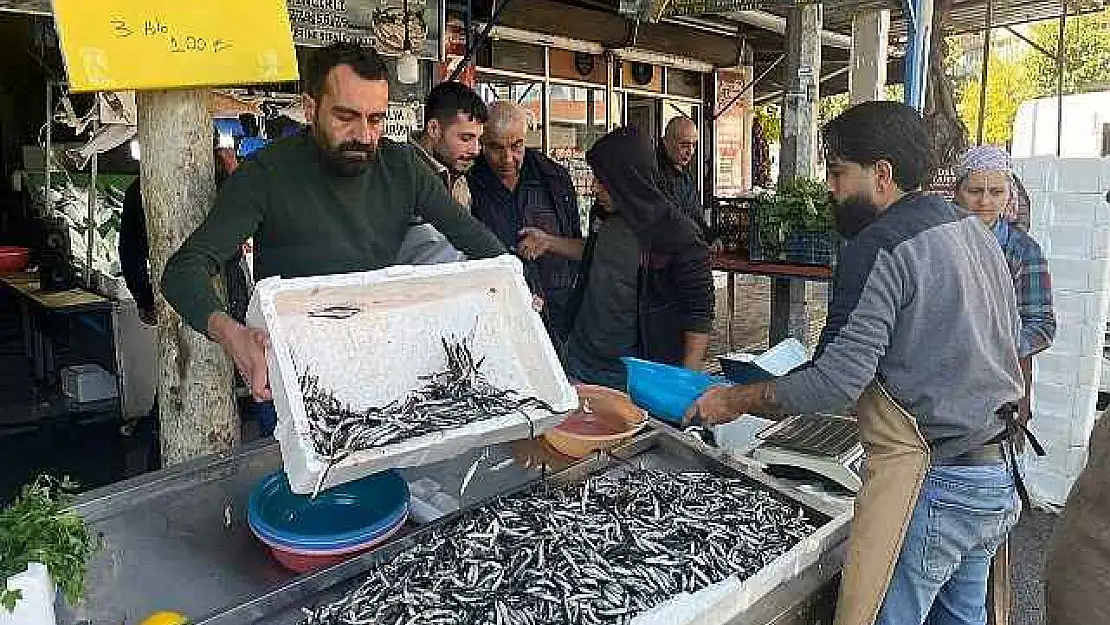 Esnaf, 3 kilo hamsiyi 100 TL'den satışa çıkardı