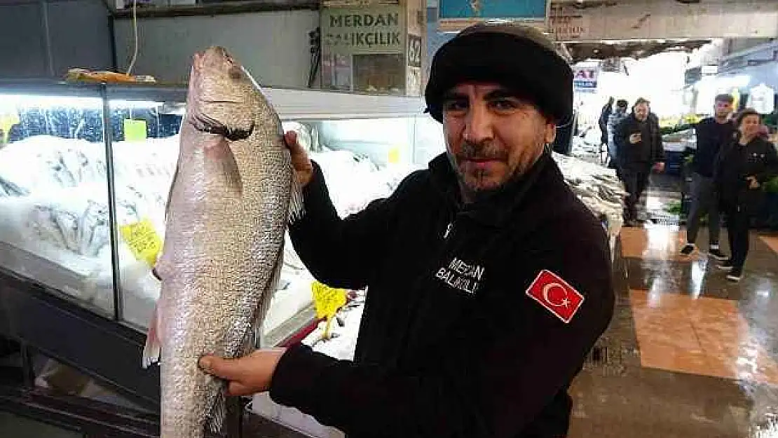 Kahramanmaraş balık pazarı taşınıyor