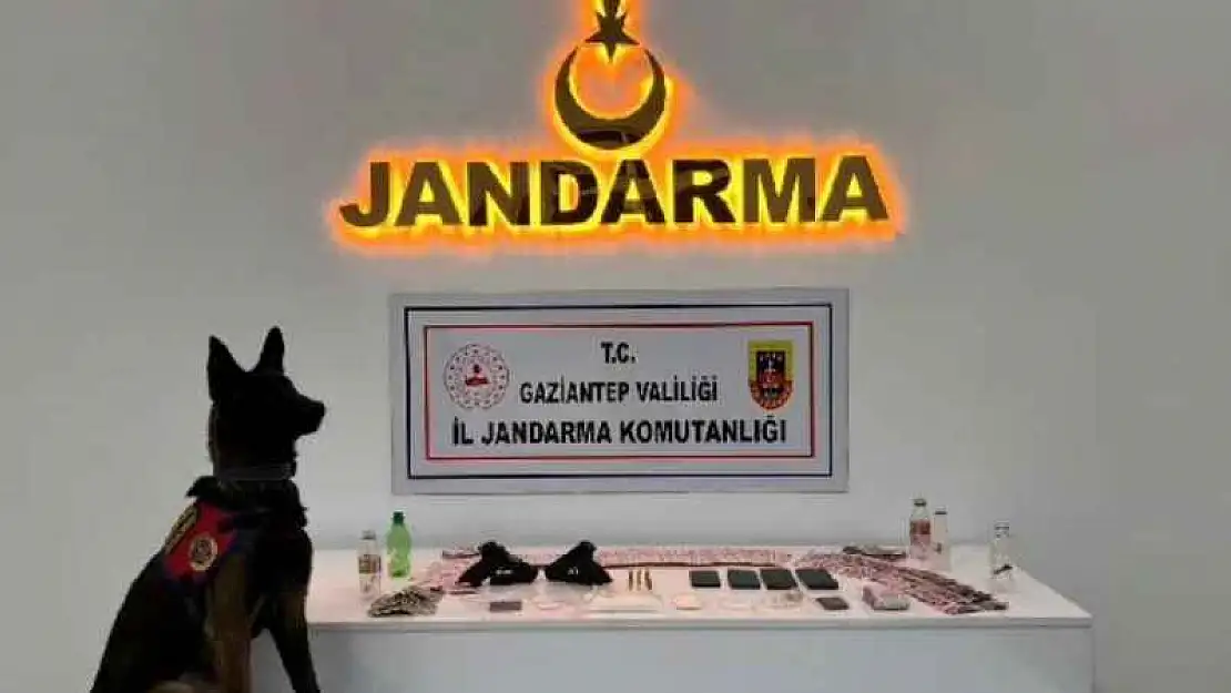 Jandarmadan kaçakçılık ve uyuşturucu operasyonu: 22 tutuklama