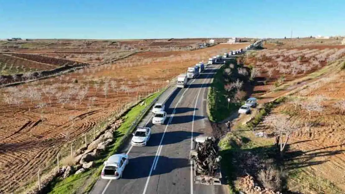 Şanlıurfa'da tırlar kafa kafaya çarpıştı: 2 ölü