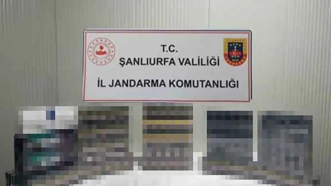 Şanlıurfa'da bin 240 paket kaçak sigara ele geçirildi