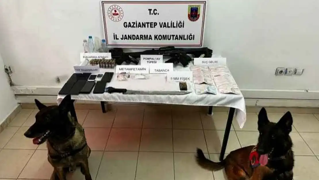 Jandarmadan Çobanlar Çetesi operasyonu: 6 gözaltı