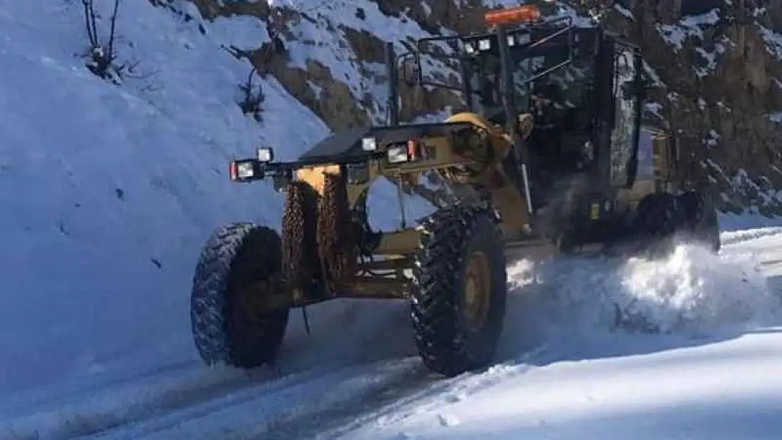 Kulp'ta kar nedeniyle kapanan yollar açıldı