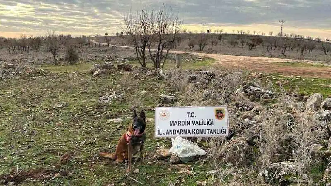 Mardin'de jandarmanın dikkati hain tuzağı bozdu