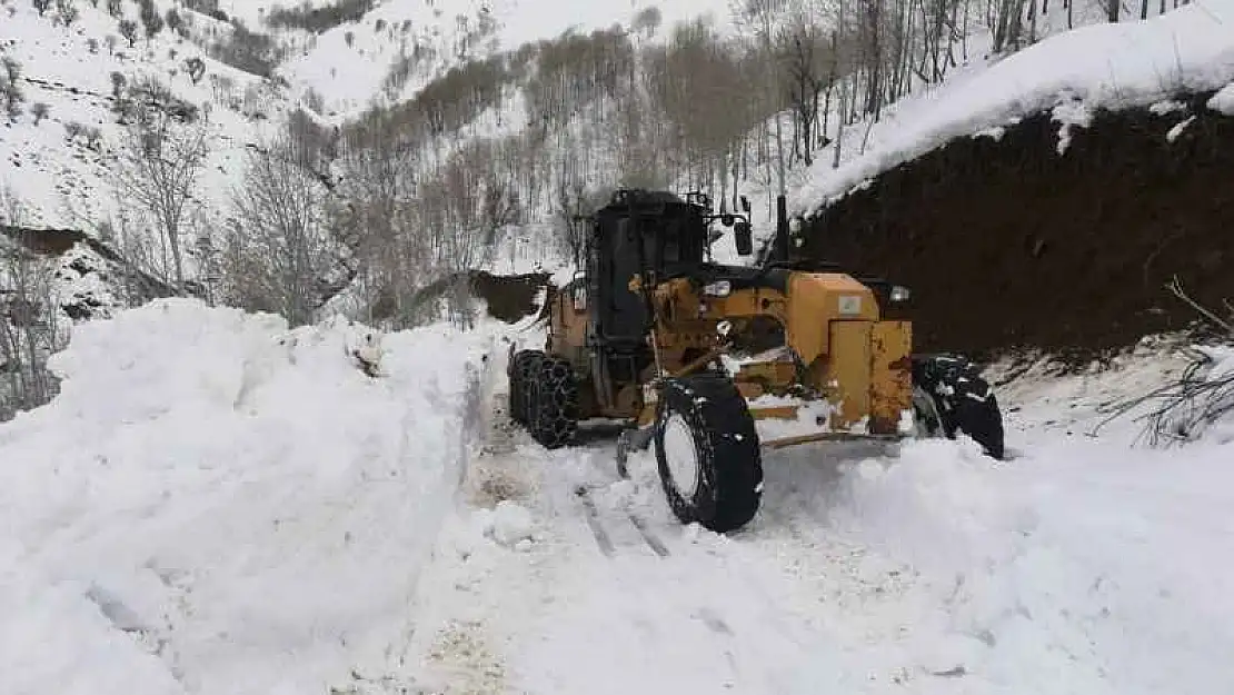 Batman'da kar yağışı nedeniyle kapanan köy yolları açılıyor