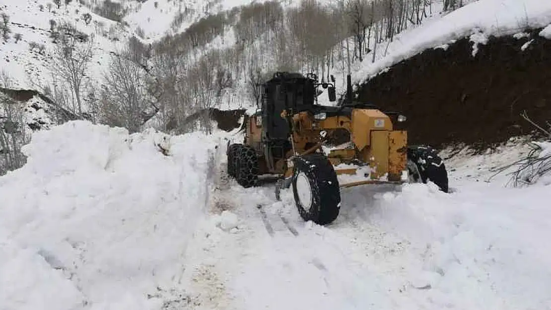 Sason'da kar nedeniyle kapanan 22 köy ve 17 mezra yolu ulaşıma açıldı