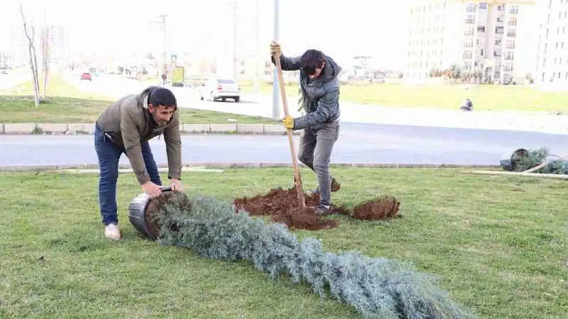 Diyarbakır'da ağaçlandırma çalışması