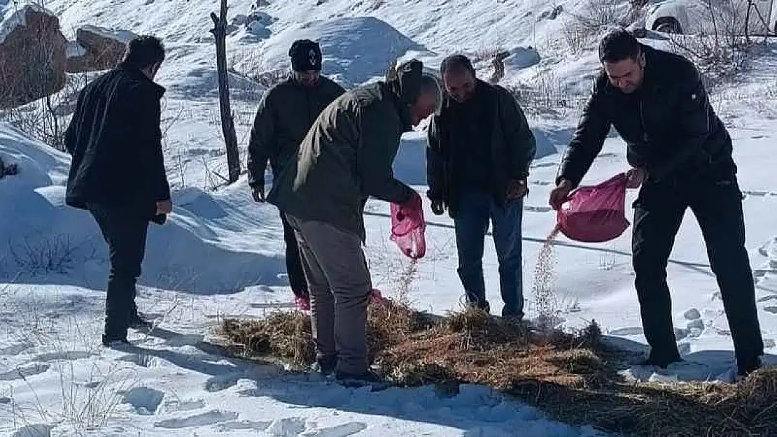 Yaban hayvanları unutulmadı