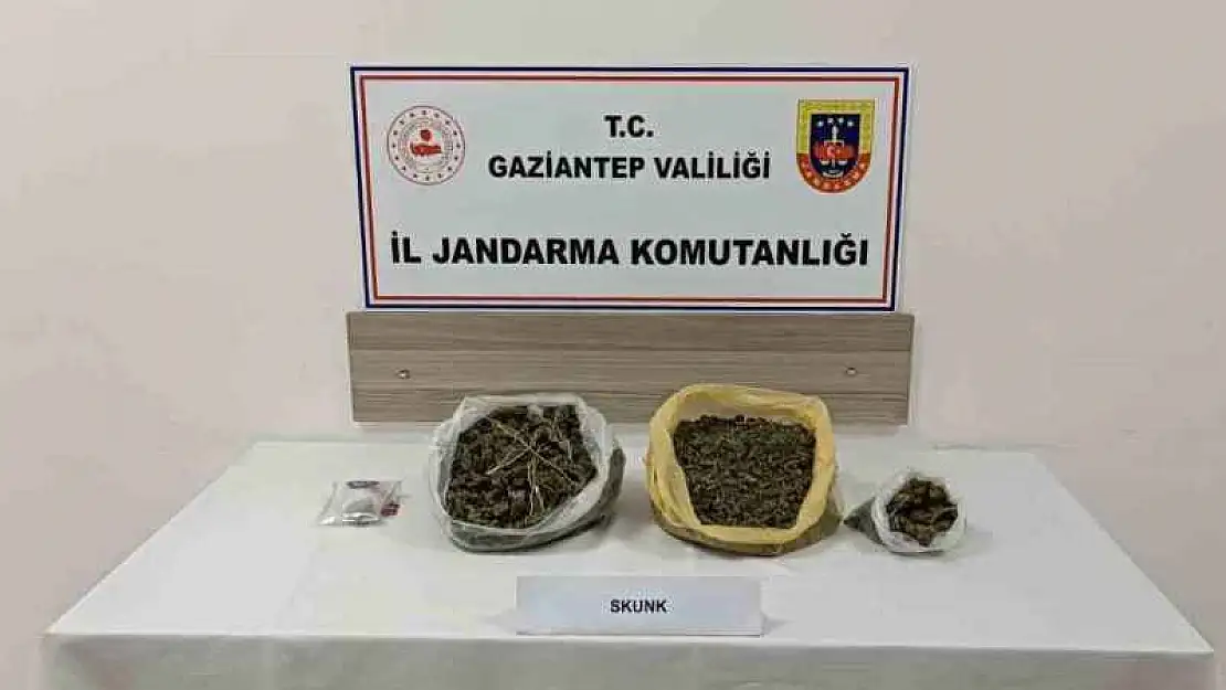 Gaziantep'te skunk operasyonu: 1 tutuklama