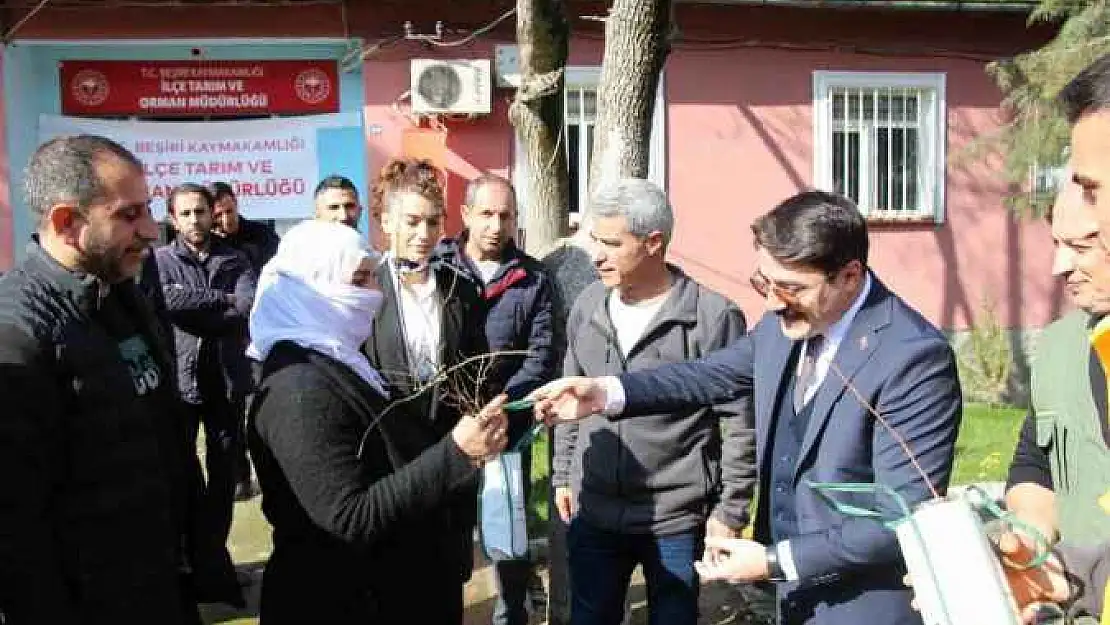 Beşiri'de çiftçilere ücretsiz 12 bin adet badem ve fıstık fidanı dağıtıldı