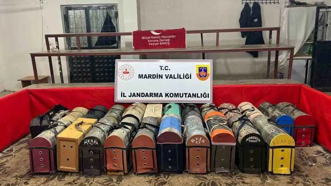 Mardin'de 54 horozu dövüştüren 83 kişiye 578 bin lira ceza