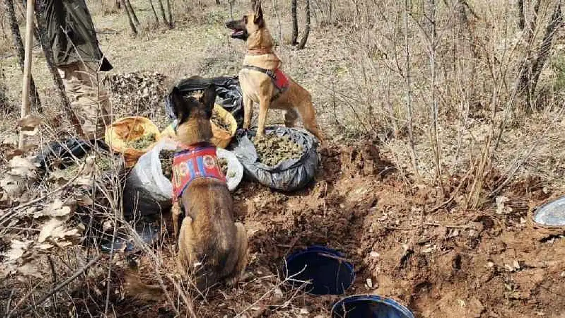 Diyarbakır'da jelikan bidon içerisine saklanmış 43 kilo esrar ele geçirildi