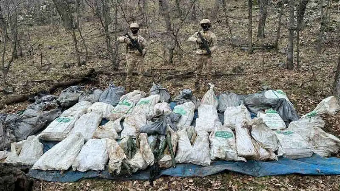 Şırnak'ta terör örgütüne büyük darbe: Çok sayıda mühimmat ele geçirildi