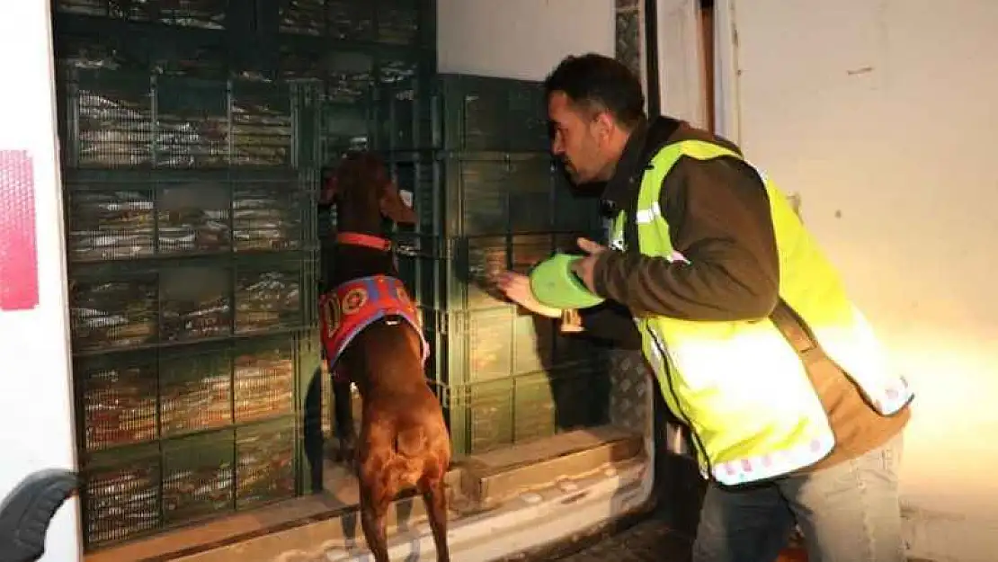 Adıyaman'da jandarmadan uyuşturucu operasyonu