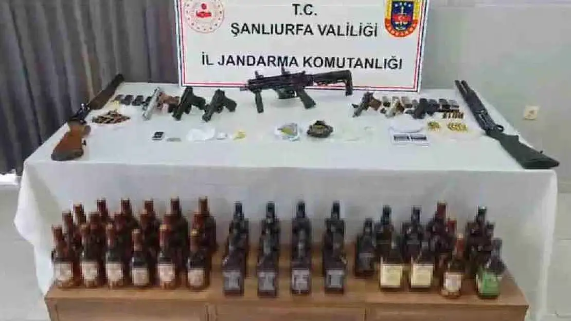 Şanlıurfa'da jandarma operasyonu: 29 gözaltı