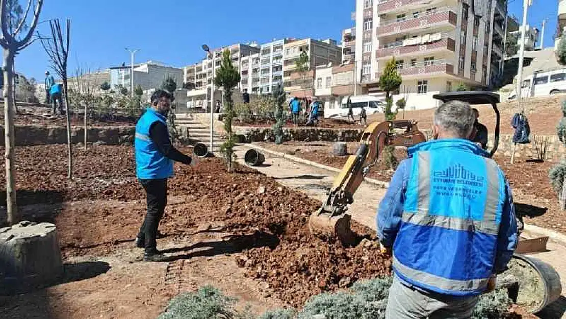 Eyyübiye'de ağaçlandırma ve yeşillendirme çalışmaları sürüyor