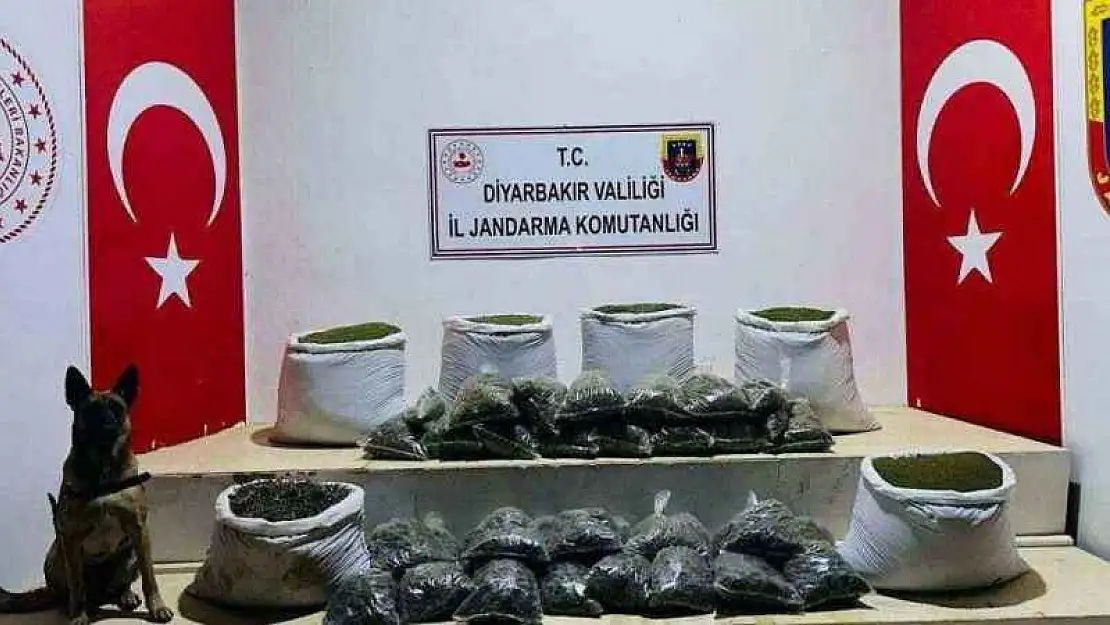 Lice'de 226 kilo esrar ele geçirildi