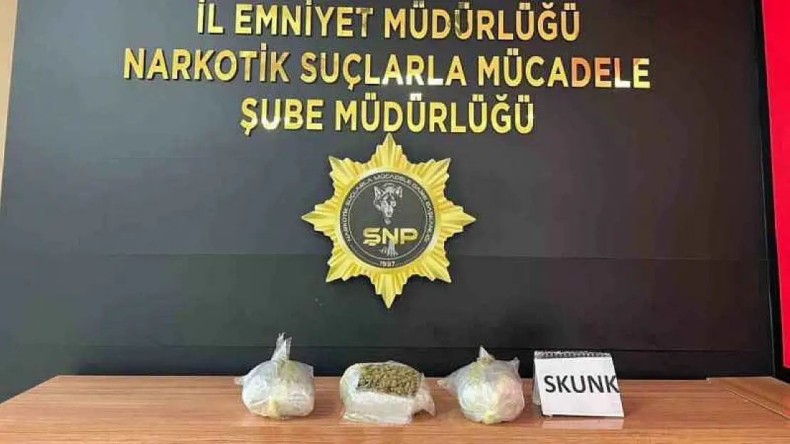 Şanlıurfa'da 1 kilo 600 gram skunk ele geçirildi