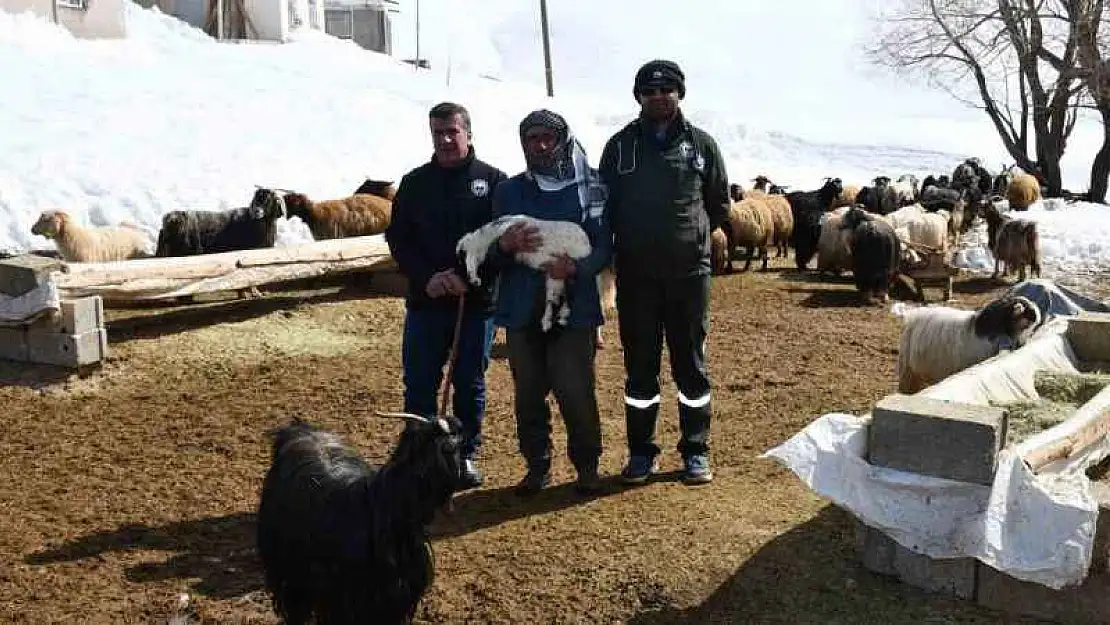 Veteriner ekip, Faraşin Yaylası'nda kalan besiciler için kilometrelerce yol gitti