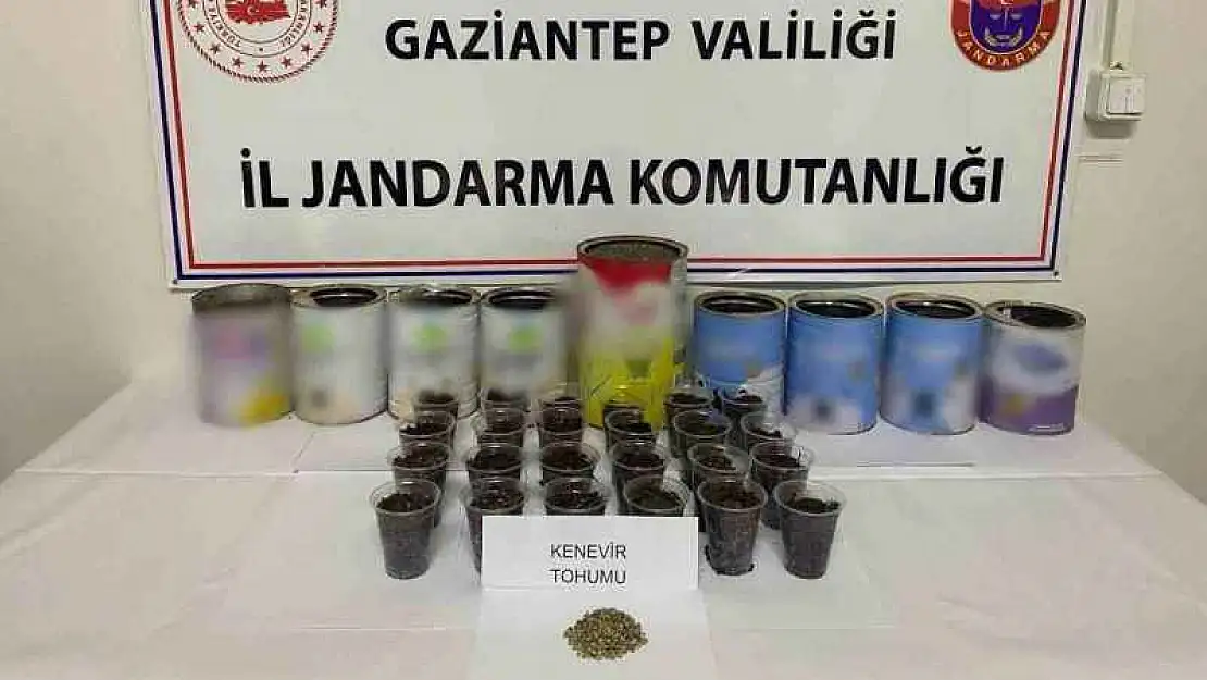 Jandarmadan uyuşturucu operasyonu