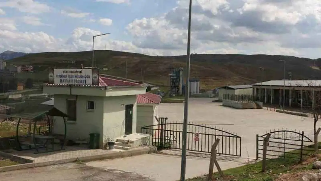 Siirt'te şap vakası yüzünden hayvan kesimi durduruldu