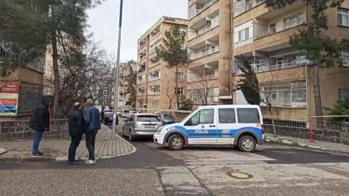 Siverek'te polise ateş açan şahıs gözaltına alındı