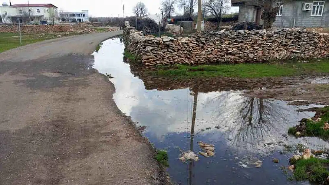 Mahalle sakinleri eksikliklerinin giderilmesini bekliyor