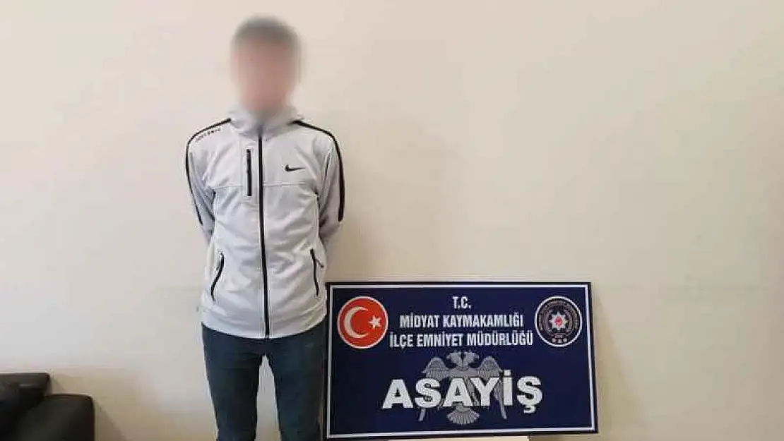 Mardin'de hırsızlık şüphelisi 2 kişi tutuklandı