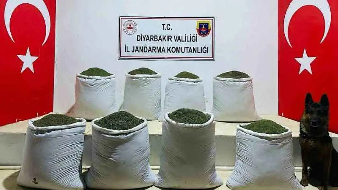 Diyarbakır'da 169 kilo esrar ele geçirildi