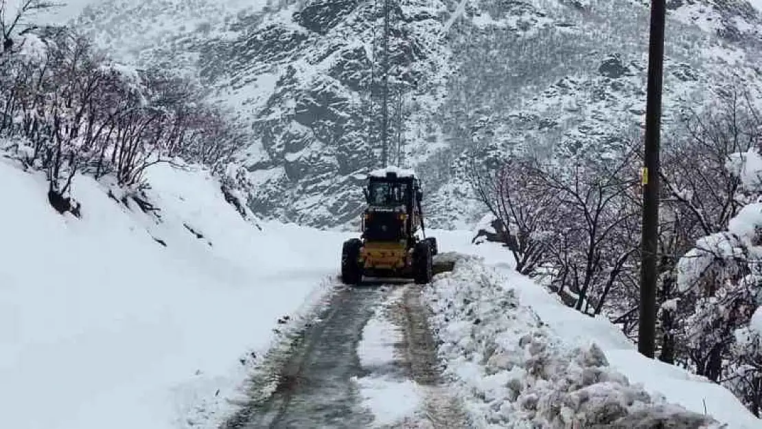 Şırnak'ta kar yağışı hayatı olumsuz etkiledi