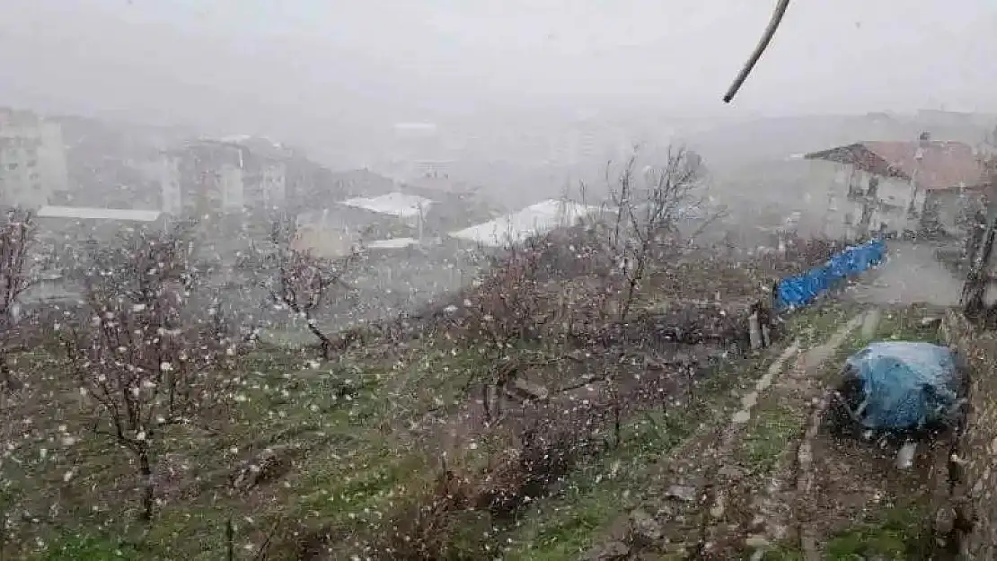 Diyarbakır'ın bazı ilçelerinde kar yağışı etkili oldu