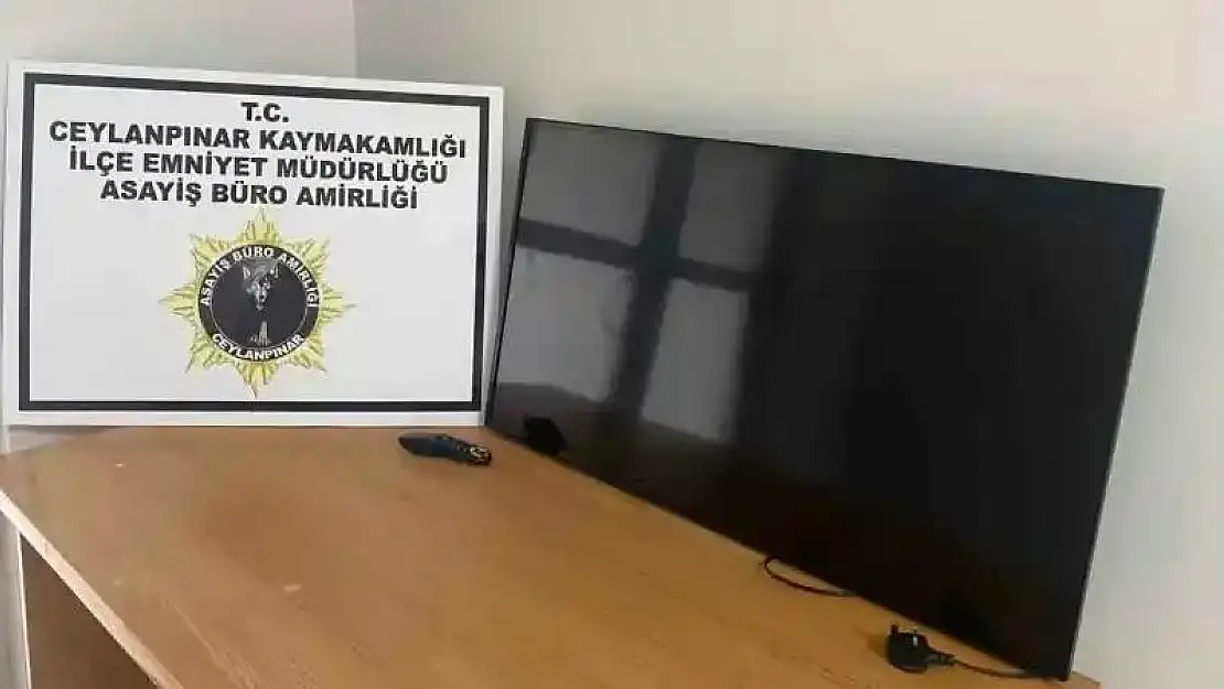 Çaldığı televizyonla birlikte yakalandı