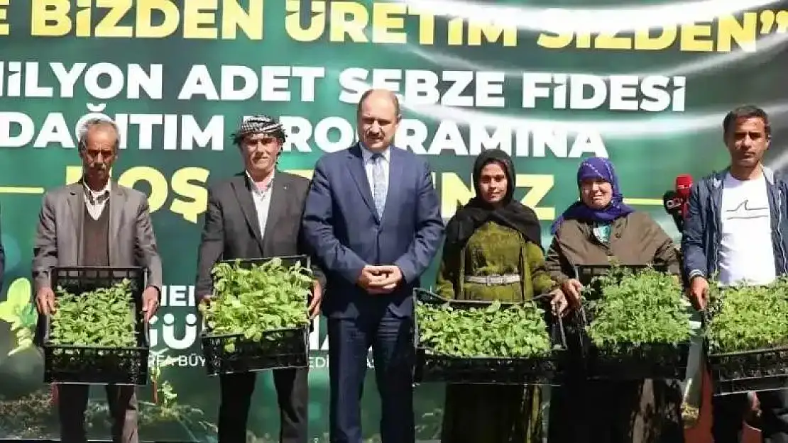 Şanlıurfa'da çiftçilere 2 milyon sebze fidesi dağıtıldı