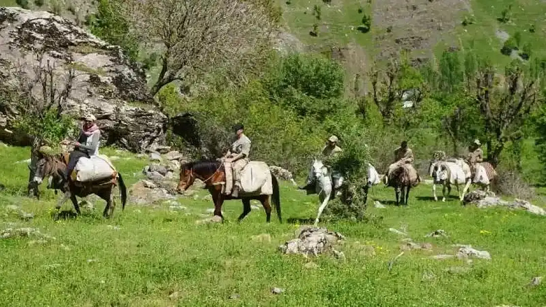 Terörden temizlenen dağlarda yetişen otlar adeta şifa deposu