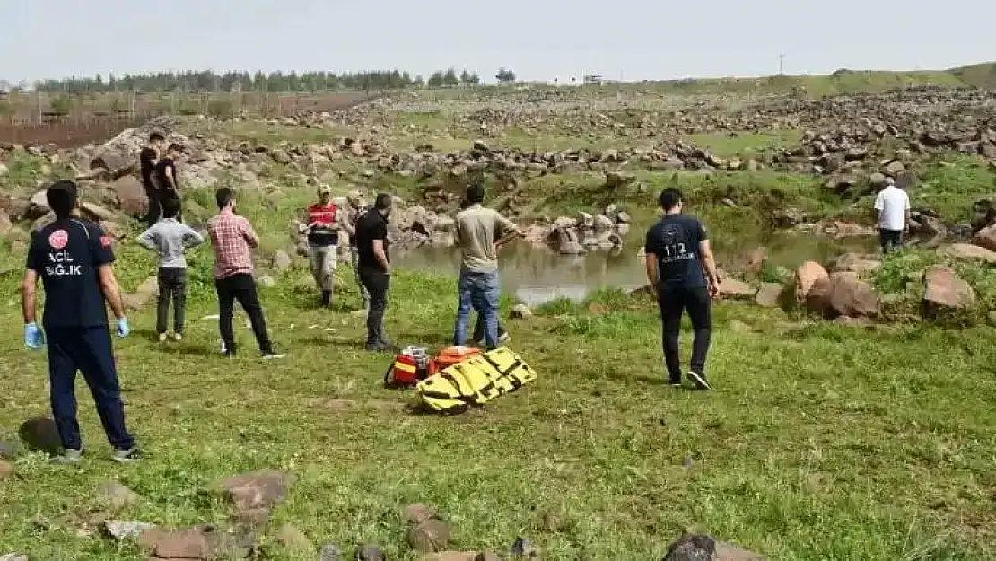 Siverek'te gölete giren çocuklar boğulma tehlikesi geçirdi