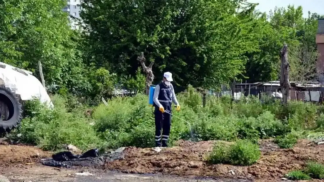 Diyarbakır'da vektörlere karşı ilaçlama çalışmaları sürüyor