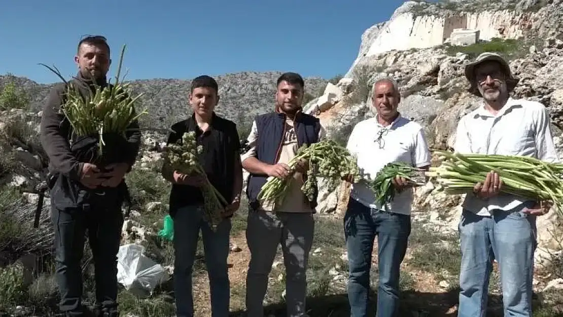 Pancar toplamak için dağı tırmanan kadınlar kilometrelerce yürüyorlar