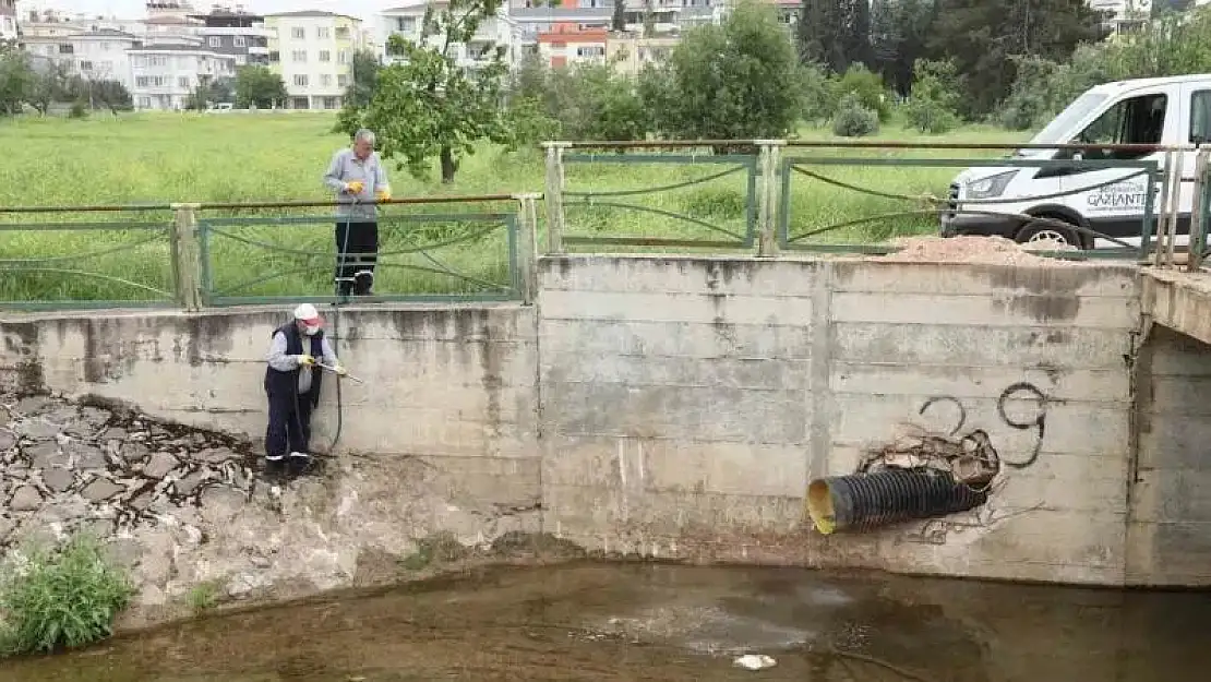 Gaziantep'te haşerelere karşı 165 bin noktada ilaçlama yapılıyor