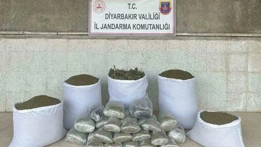 Diyarbakır'da 173 kilo esrar ele geçirildi